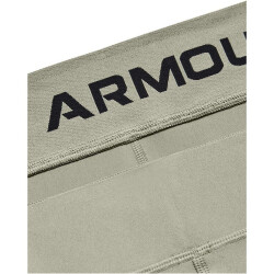 UNDER ARMOUR HeatGear Armour Shorts Damen