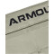 UNDER ARMOUR HeatGear Armour Shorts Damen