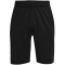 UNDER ARMOUR Raid 2.0 Shorts Herren