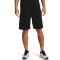 UNDER ARMOUR Raid 2.0 Shorts Herren