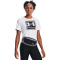 UNDER ARMOUR Flex Bauchtasche