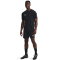 UNDER ARMOUR Challenger Knit Shorts Herren