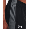 UNDER ARMOUR Brawler Hose Herren