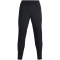 UNDER ARMOUR Qualifier Run 2.0 Laufhose Herren