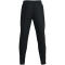 UNDER ARMOUR Qualifier Run 2.0 Laufhose Herren