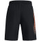 UNDER ARMOUR Woven Graphic Shorts Jungen