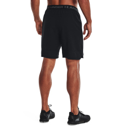 UNDER ARMOUR Vanish Stoffshorts Herren