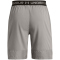 UNDER ARMOUR Vanish Stoffshorts Herren