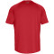 UNDER ARMOUR Tech 2.0 Trainingsshirt Herren 600 - red/graphite XL/T