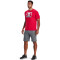 UNDER ARMOUR Boxed Sportstyle kurzarm Trainingsshirt Herren 600 - red/steel 3XL