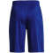 UNDER ARMOUR Prototype 2.0 Logo Shorts Jungen 400 - royal/white S (127-137 cm)