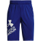 UNDER ARMOUR Prototype 2.0 Logo Shorts Jungen 400 - royal/white M (137-149 cm)