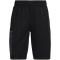 UNDER ARMOUR Prototype 2.0 Wordmark Shorts Jungen 002 - black/pitch gray M (137-149 cm)