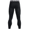 UNDER ARMOUR ColdGear Armour Tights Herren 001 - black/white XS