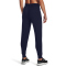 UNDER ARMOUR HeatGear Hose Damen 410 - midnight navy/white XS
