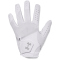 UNDER ARMOUR Iso-Chill Golfhandschuh Damen 100 - white/halo gray/halo gray S (links)