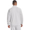UNDER ARMOUR 1/4-Zip Sweatshirt Herren 014 - halo gray/black XL
