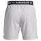 UNDER ARMOUR Vanish 6" Trainingsshorts Herren 014 - halo gray/black M