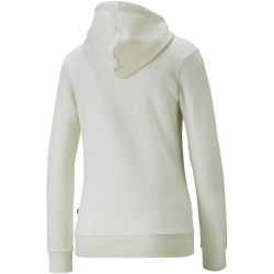 PUMA Essentials+ Metallic Embroidery Fleece Hoodie Damen