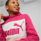 PUMA Ess+ Metallic Colorblock Fleece-Hoodie Jungen