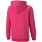 PUMA Ess+ Metallic Colorblock Fleece-Hoodie Jungen