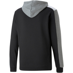 PUMA Ess+ Metallic Block Hoodie Herren