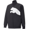 PUMA Train Big Cat Lined Woven Trainingsjacke Herren