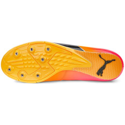 PUMA evoSPEED Long Jump 10 Leichtathletikschuhe sun stream/sunset glow/puma black 44