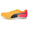 PUMA evoSPEED Crossfox 4 Leichtathletikschuhe sun stream/sunset glow/puma black 43