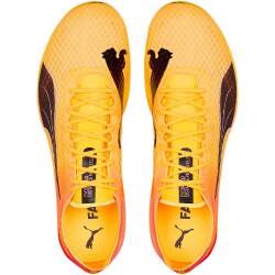 PUMA evoSPEED Distance Nitro Elite+ 2 Trainingsschuhe sun stream/sunset glow/puma black 35.5