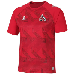 hummel 1. FC Köln Europa Aufwärmtrikot 22/23...