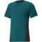 PUMA Train All Day Trainingsshirt Herren varsity green/puma black S