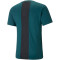 PUMA Train All Day Trainingsshirt Herren varsity green/puma black S