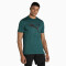PUMA Train Favorite Heather Cat Trainingsshirt Herren varsity green heather/aop cat S