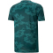 PUMA Train Off Season All-Over-Print Trainingsshirt Herren varsity green S