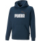 PUMA Ess+ Metallic 2 Col Big Logo Hoodie Jugend