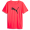 PUMA individualRISE Logo Fußball T-Shirt Herren