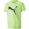 PUMA individualRISE Logo Fußball T-Shirt Jugend