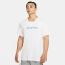 NIKE Dri-FIT Laufshirt Herren