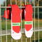 SHOESOXX Sportsocken Antirutschsocken red 36-38