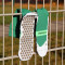 SHOESOXX Sportsocken Antirutschsocken green 36-38