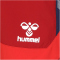 hummel 1. FC Köln Trainingsshorts 2023/24 Kinder