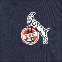 hummel 1. FC Köln Travel Jogginghose 2023/24 Kinder