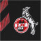 hummel 1. FC Köln Trainingsshorts 22/23 black XS