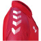 hummel 1. FC Köln Training Poloshirt true red XS