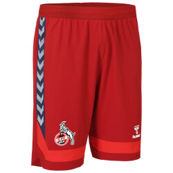 hummel 1. FC Köln Trainingsshorts 2023/24 red dahlia S