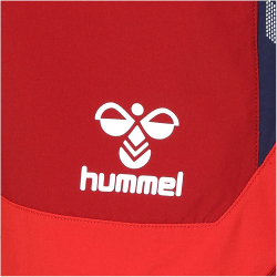 hummel 1. FC K&ouml;ln Trainingsshorts 2023/24 red dahlia S