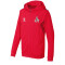 hummel 1. FC Köln Trainings Kapuzenjacke Kinder true red 116