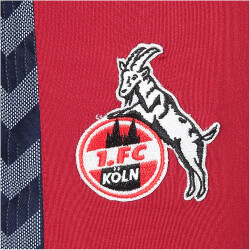 hummel 1. FC Köln Trainingshose 2023/24 Kinder red dahlia 116