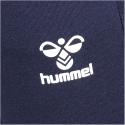 hummel 1. FC K&ouml;ln Travel Jogginghose marine S